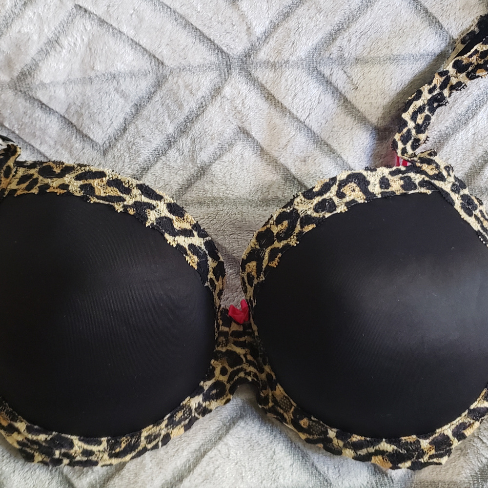 PINK VS Lace Wing Demi 36C